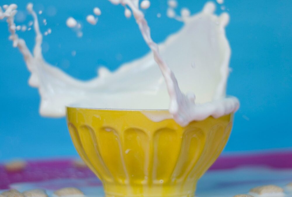 TIL: Camel’s milk might just trump cow’s milk
